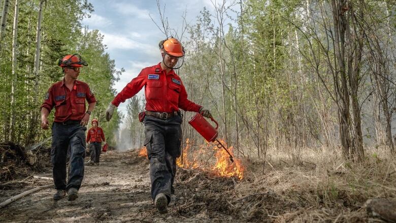 Firefighters work on containing a wildfire by using a controlled burn.