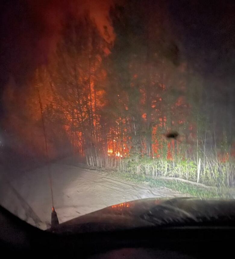 Embers and flames are seen behind a forest,  seen from a carseat.