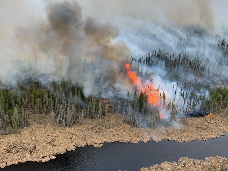 A wildfire burning in forests by a river, taken from the air.