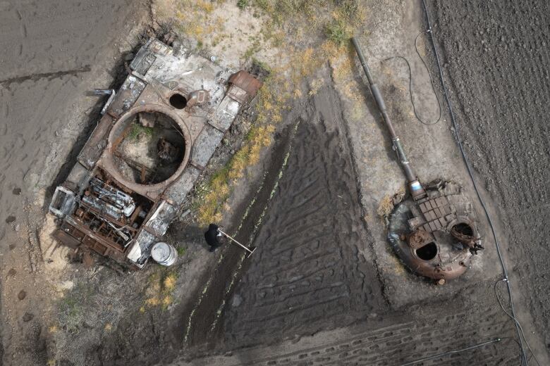 A man plants sunflowers in a Ukrainian village, near parts of a destroyed Russian tank.