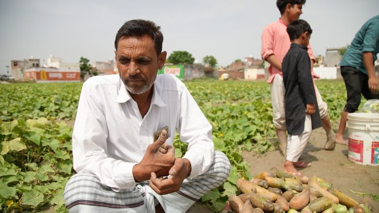 'We have no other option' but to work in the extreme heat, Ali Sher, 53, said, while tending to his fields with his family, in India's northern Uttar Pradesh state. 