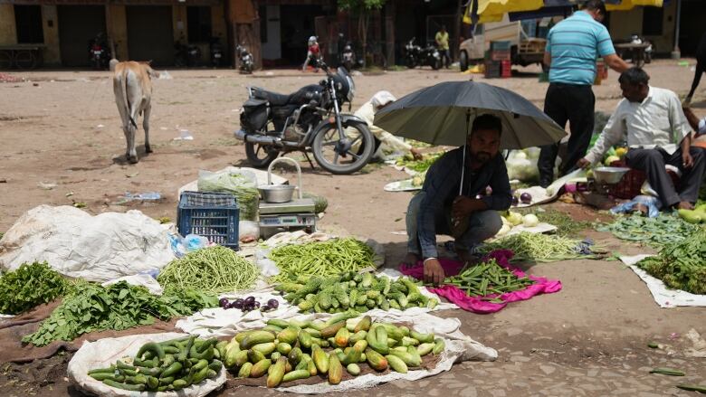 Those who are forced to work outdoors to earn a living, like the vendors desperate for a bit of shade at this outdoor food market in rural Uttar Pradesh, are most at risk as India deals with more frequent and intense heat waves.