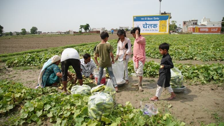 The entire Sher family, including seven children, works outdoors regardless of the heat. India stands to lose six per cent of working hours by 2030 because of a rise in extremely warm weather. 