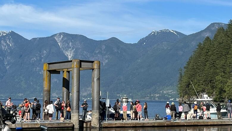 A line of people on a dock.