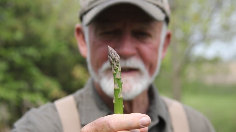 A man in a hat holds up a stalk of asparagus. 