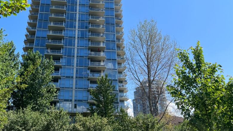 A group of trees sits in the shadow of a tall condo tower. One of the trees is taller than the rest and barren of leaves. It is a sunny day and the sky is bright blue in the background.