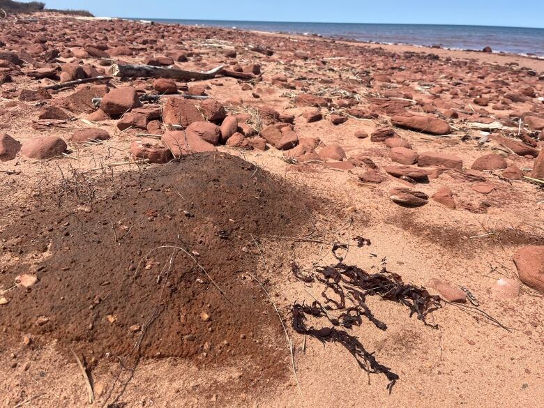 Clumps of dark brown topsoil lie on a beach mostly made up of red sand and large chunks of sandstone. 