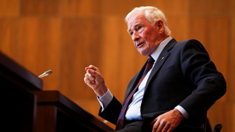 This profile photo show former Governor General David Johnston sitting in a chair speaking to reporters. 