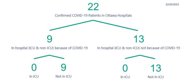 A chart showing the number of people in Ottawa hospitals with COVID.