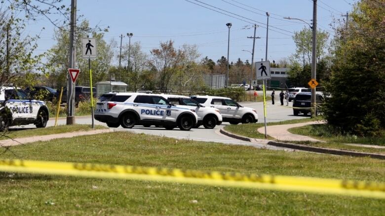 Police vehicles parked next to a grassy area.