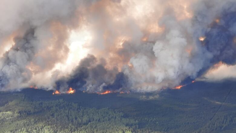 A large wildfire is seen burning from above.