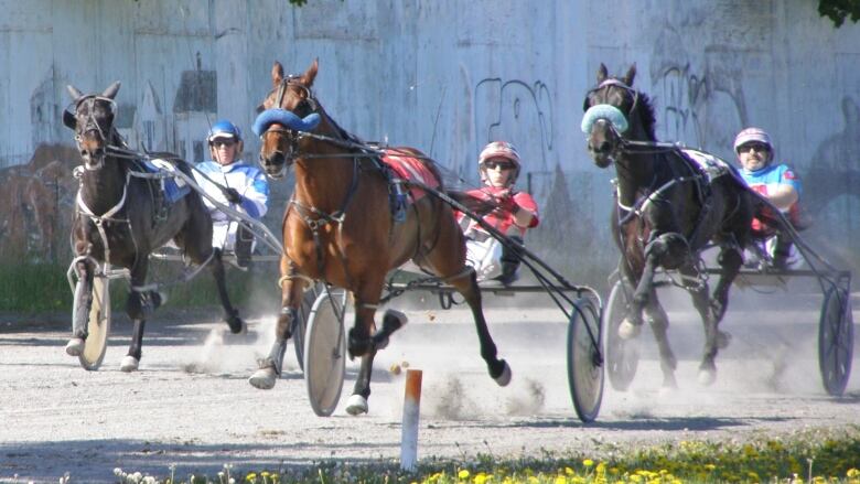 Harness racers are seen driving their horses on a track.