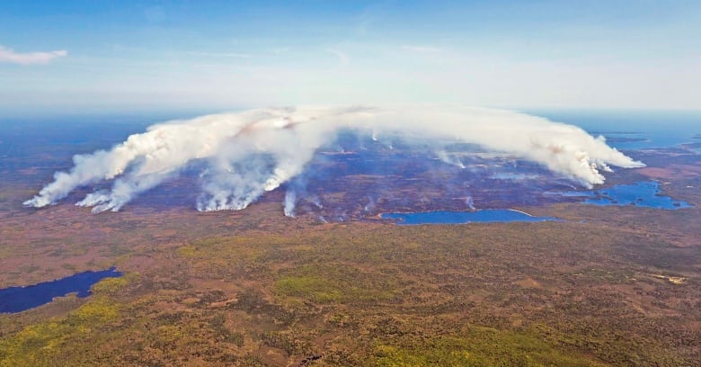 An aerial shot shows smoke from several points on land rising into the air.