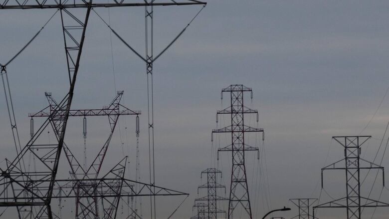 Hydroelectric pylons against a grey sky.