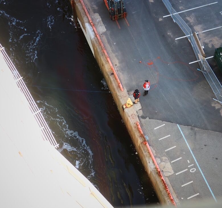 Stevedores using guide lines to tie up a cruise ship