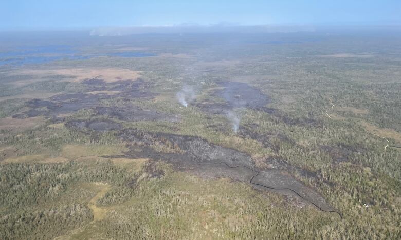 An aerial shot shows parts of the forest that are blackened, with plumes of smoke rising.