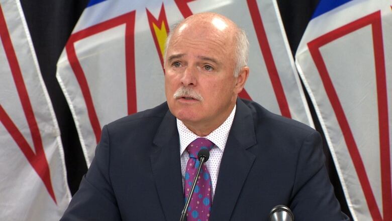 A man wearing a blue suit and purple tie sitting at a desk with a microphone. In the background are provincial flags. 