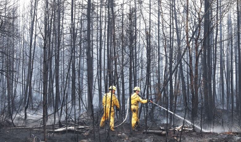 Two firefighters in the woods put out hotspots. They both are wearing yellow suits 