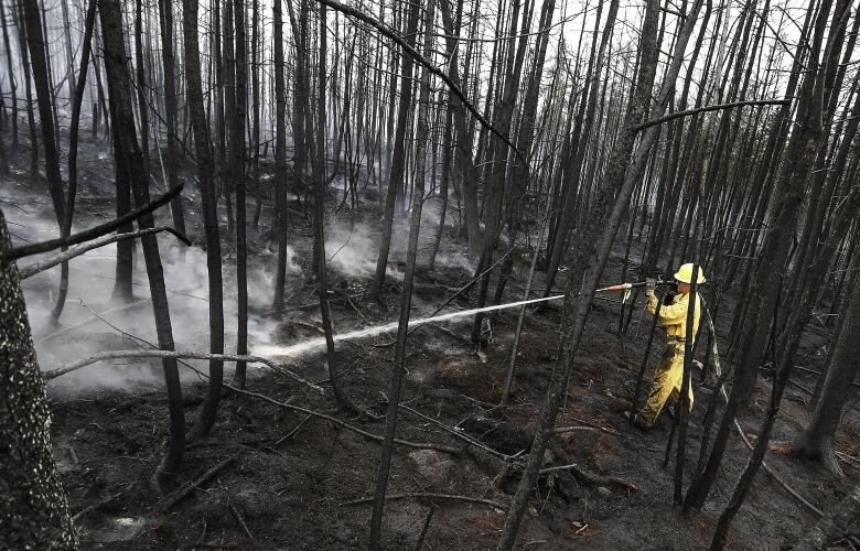 A firefighter shoots water at the forest floor, surrounded by burnt trees.