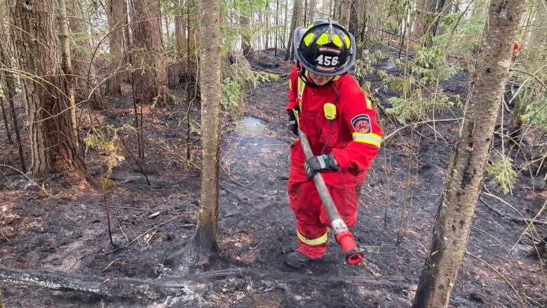 A firefighter carries equipment through a blackened forest.