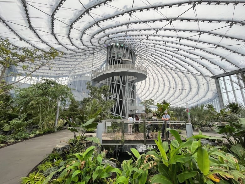 Tropical plants are seen inside a building with a swirl-design roof.