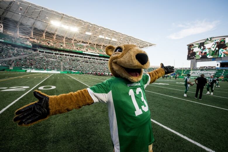 A gopher mascot stands on a football field holding his arms aloft.