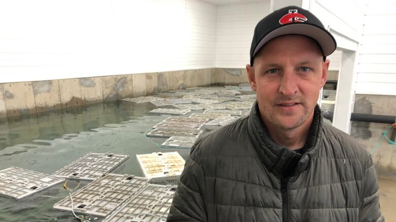 Man in a baseball hat stands next to a large pool filled with ocean water that has large plastic crates floating on the top. The crates contain hundreds of lobsters. 