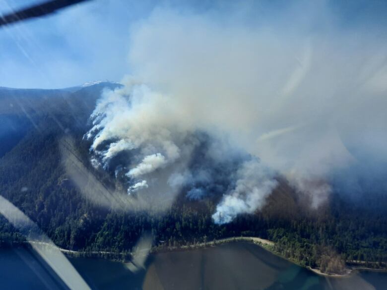 Plumes of smoke rise from a forest near a highway.