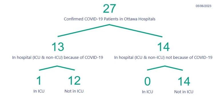 A chart showing the number of people in Ottawa hospitals with COVID.