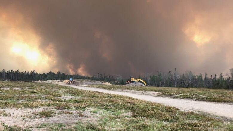 A blueberry field with flames and smoke in the background.