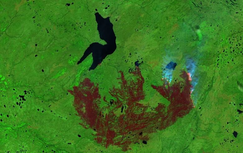 A satellite image of a big brown fire scare in a green landscape.