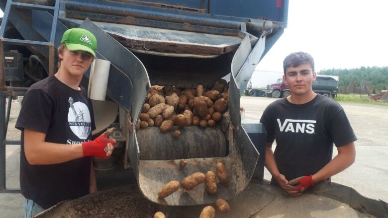 Two men standing on opposite sides of a metal chute with potatoes coming out of it