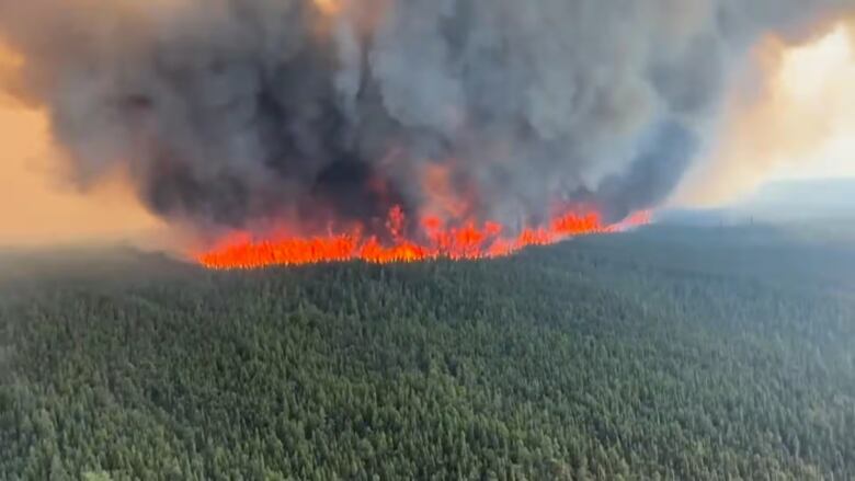 A line of flames seen from an aircraft advances through a vast forest.