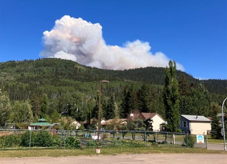 smoke billows from a forest fire on a hill above several houses in a town.