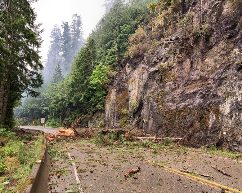 Trees and debris lie across Highway 4 on Vancouver Island.