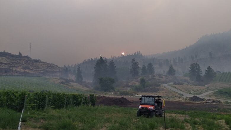 Wildfire smoke hung for a month over the vineyards harvested by Blue Mountain Wines in July and August 2021. 