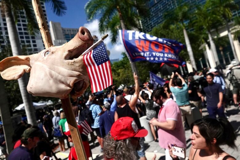 A protester holds a mock pig's head on a stick.