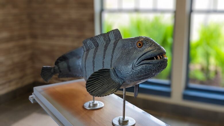 A sculpture of a wolf fish.