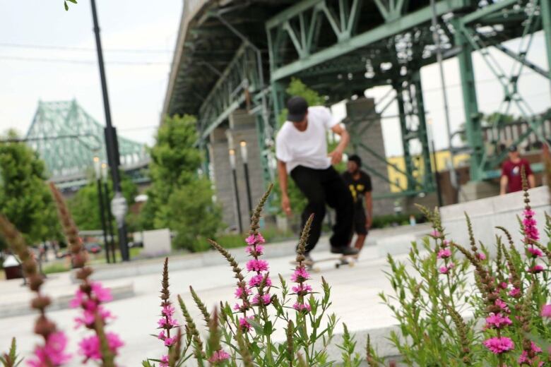 flowers in foreground, skateboarders in background