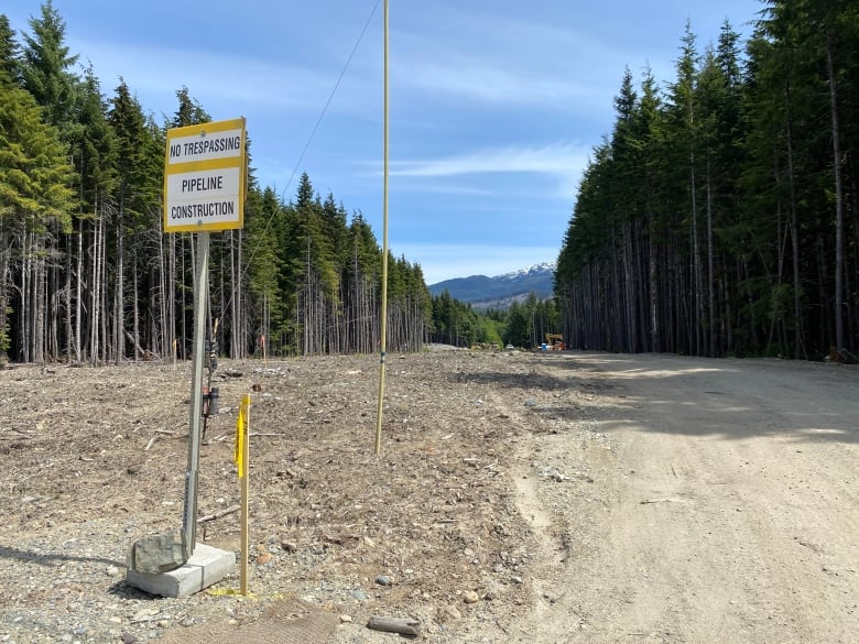 A construction sign in a clear-cut area with forests and mountains behind it.