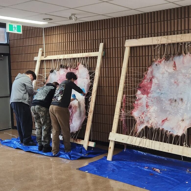 As part of the program students will learn to also tan hide as a part of the cultural teachings.