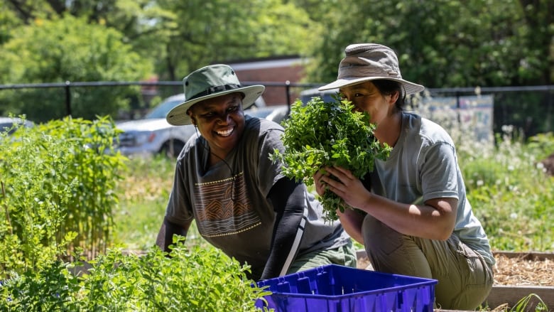 A farmer holds a bunch of oregano to her nose as another farmer looks on. You can see a chain-link fence an parking lot in the background