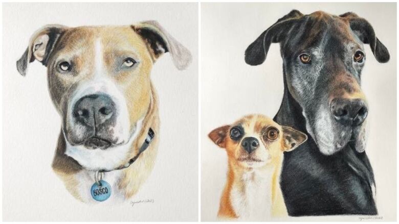 Two realistic portrait drawings of dogs. Two dogs are bigger and one is small.