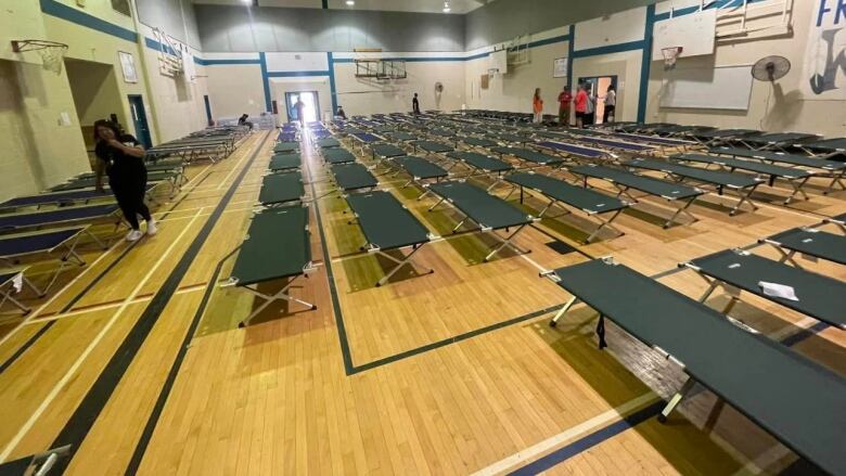 A high school gym is filled with rows of cots