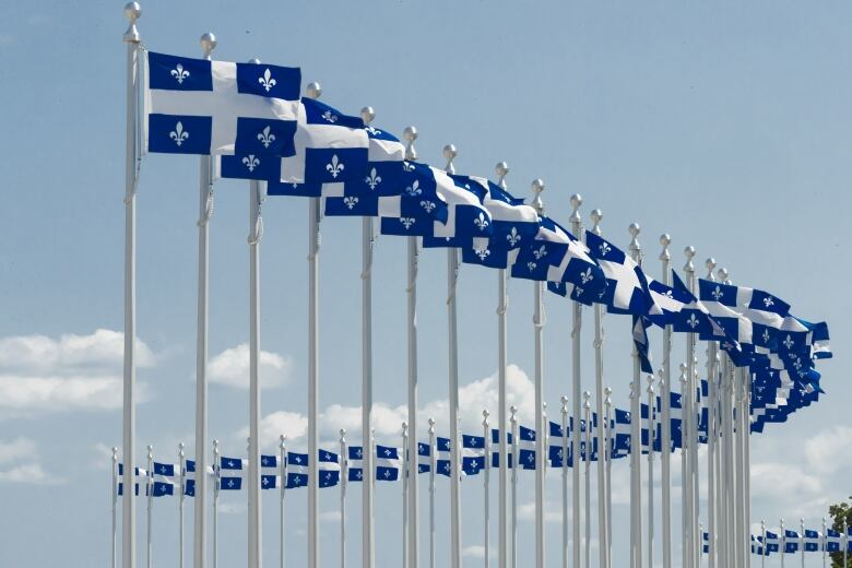 To celebrate the Quebec flag's 75th birthday, all the flagpoles at the Olympic Park are sporting the fleur-de-lis.