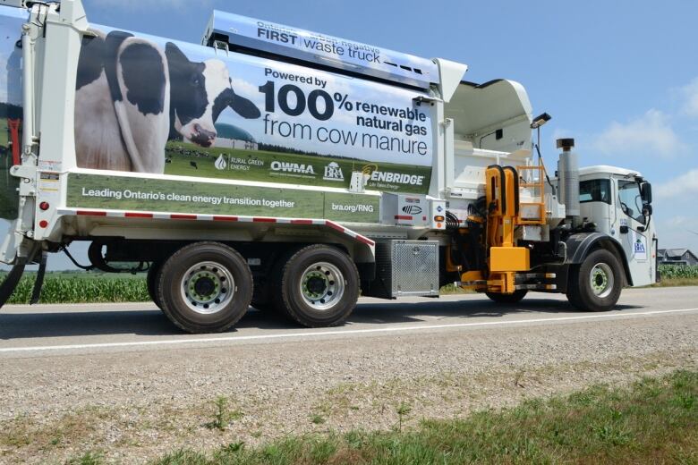 A recycling truck on a country road, with gravel and cornfields. The truck shows a cow's behind and blue lettering read, 