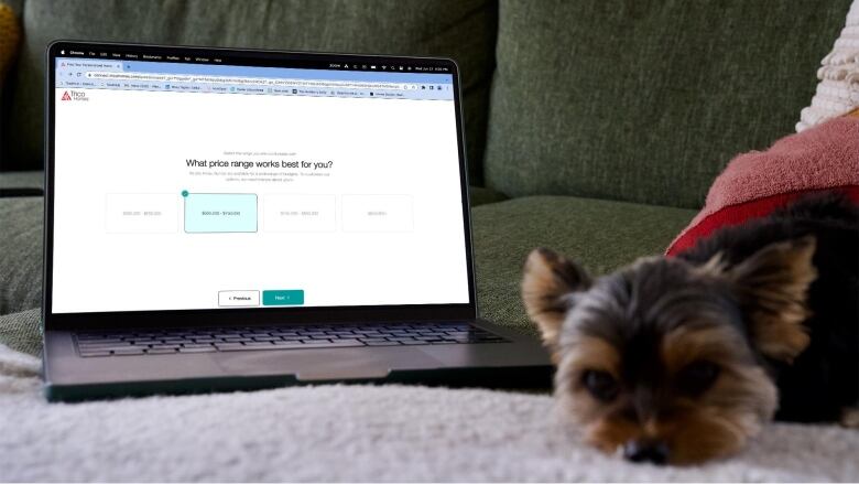 A dog is pictured next to an open laptop that has text outlining price options for home buyers.