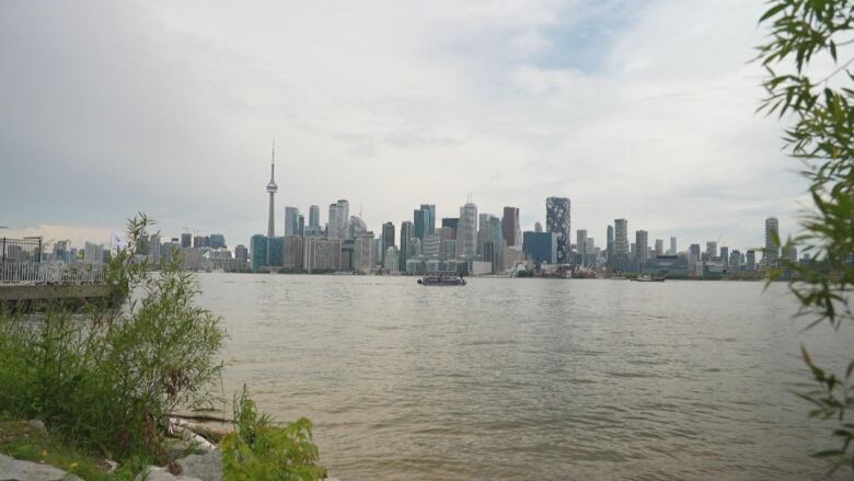 A picture of the Toronto skyline from the Toronto Islands.