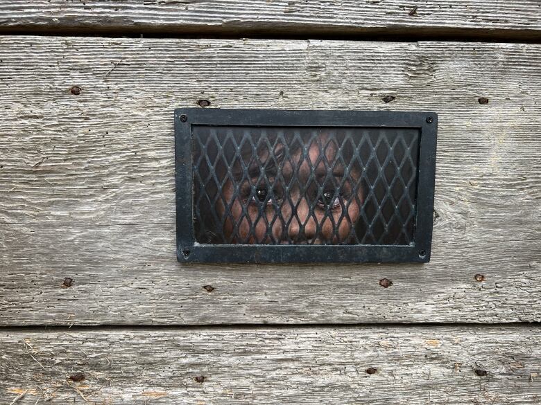 A painting of a young girl's eyes is shown behind a black metal grate on a wooden door.