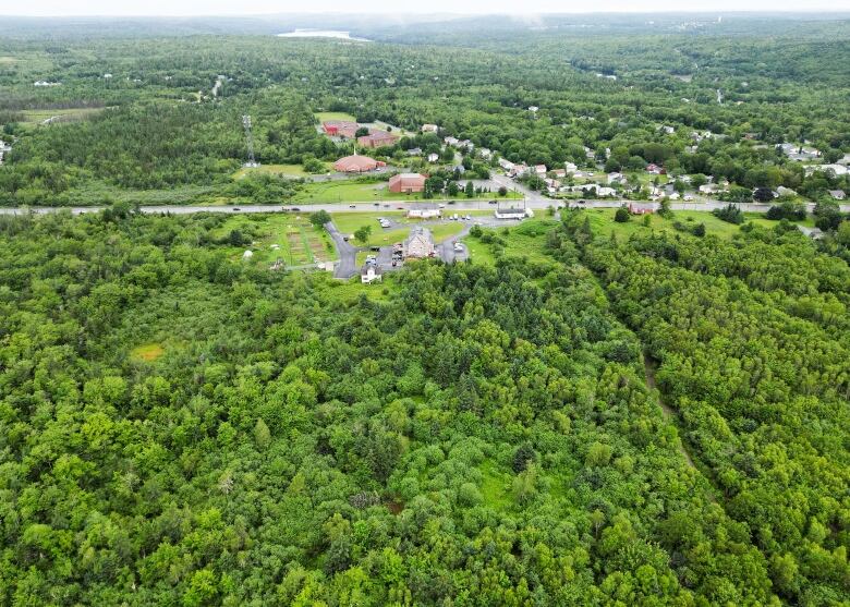 A aerial view of a forest. 